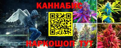 дмт Пугачёв