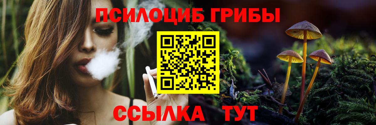 Галлюциногенные грибы Magic Shrooms Сертолово